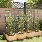 Tomato Cages 8 pcs 154 cm Steel and PP 3281493