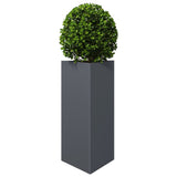 Garden Planter Anthracite Triangular 40x34.5x75 cm Steel 851161