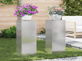 Plant Stand 2 pcs Silver 24 x 24 x 75 cm Stainless steel 865824