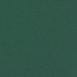 ZNTS Retractable Side Awning Dark Green 180x300 cm 4004350