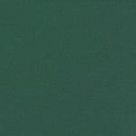ZNTS Retractable Side Awning Dark Green 180x600 cm 4004545