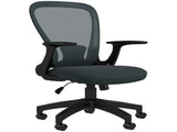 Ergonomic Office Chair, Mesh Desk Chair with Flip-up Armrest, Lumbar Back Support, Swivel Wheels, T3398P342374
