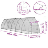 Chicken Cage Silver 600x105x120 cm Galvanised Steel 172554