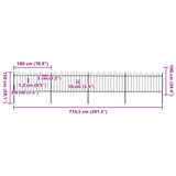 Garden Fence with Hoop Top Steel 714.5x100 cm Black 277659