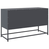 TV Cabinet Anthracite 100.5x39x60.5 cm Steel 846514
