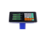 300KG/661lb LCD Digital Personal Floor Postal Platform Scale Blue 64648692