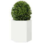 ZNTS Garden Planter White Hexagon 46x40x45 cm Steel 851110