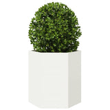 ZNTS Garden Planter White Hexagon 46x40x45 cm Steel 851110