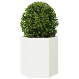 Garden Planter White Hexagon 46x40x45 cm Steel 851110