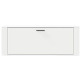 Wall Shoe Cabinet White 100x35x38 cm Engineered Wood 821020