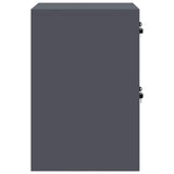 File Cabinet Anthracite 44 x 50 x 74.5 cm Cold-Rolled Steel 891594