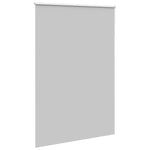 ZNTS Roller Blind Blackout Light Grey 165x230 cm Fabric Width 161.6 cm Polyester 4011479