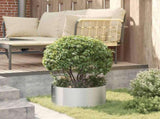 Planter Ring 5 pcs Silver 40 x 40 x 20 cm Galvanised Steel 873617