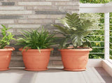 Round Flower Pot 24 pcs Brick Red 34 x 28 cm Plastic 42020292