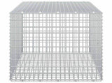 Gabion with 3.5 mm Wire and 5x2.5 cm Mesh 100x50x50 cm 3461828
