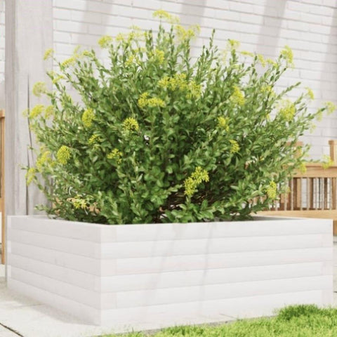 ZNTS Garden Planter White 70x70x23 cm Solid Wood Pine 847194