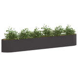 Raised Garden Bed Black 300 x 40x 40 cm Steel 8011726