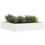 Lawn Edging 6 pcs White 60 x 60 x 13 cm Steel 874733