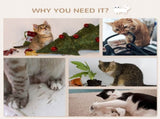 8 Piece Cat Shelves Set, with Cat House, Three Perches, Three Scratching Posts T3398P349937