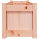 Garden Planters 2 pcs Solid Wood Douglas 837456