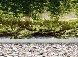 Lawn Edging 10 pcs Silver 100 x 0.05 x 15 cm Stainless Steel 865934