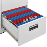 Filing Cabinet Light Grey 46x62x102,5 cm Steel 20123