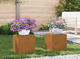 Plant Stand 2 pcs Rusty 24 x 24 x 35 cm Weathering Steel 865812