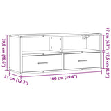 TV Cabinet Smoked Oak 100x31x39.5 cm Engineered Wood and Metal 848931