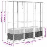 Raised Bed with Greenhouse Cover Rattan Look 120x40x138 cm 4015843