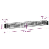 152044 Gabion Raised Bed Galvanised Iron 600x100x50 cm