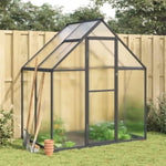 ZNTS Greenhouse with Base Frame Anthracite 169x114x195 cm Aluminium 4005824