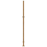 Garden Gate 100x200 cm Weathering Steel Flame Design 4100998