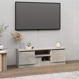 ZNTS TV Cabinet with Door Concrete Grey 102x30x36 cm 823354