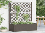 Garden Raised Bed with Trellis and Self Watering System Mocha 313968