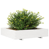 Garden Planter White 110x110x26.5 cm Solid Wood Pine 847324