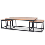 ZNTS Coffee Table Set 3 Pieces Ash 245189