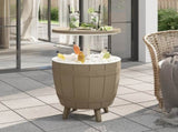 3-in-1 Ice Cooler Table Light Brown Polypropylene 364160