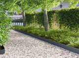 Lawn Edging 10 pcs 103 x 15 cm Steel Anthracite 8008356