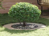 suitable for Flat Tree Rings 5 pcs Silver 50 / 80 cm 873699