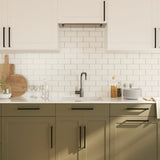 Cabinet Handles 20 pcs Black 224 mm Stainless Steel 3203656