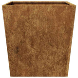 Garden Planters 2 pcs 50x50x50 cm Weathering Steel 851079
