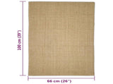 Sisal Rug for Scratching Post 66x100 cm 3203409