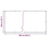 Clear Tarpaulin with Eyelets 2x6 m Polyethylene 4018507