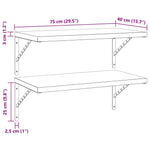 Wall Shelves 2 pcs 75x40 cm Black Stainless Steel 3214514