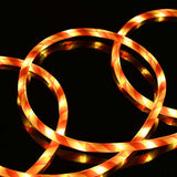 Rope Light with 2400 LEDs Warm White 100 m PVC 42018938