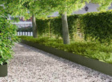 Lawn Edging 20 pcs 103 x 30 cm metal Olive Green 8008315