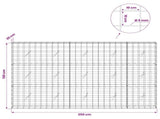 Gabion with 5 mm Wire and 10x10 cm Mesh 250x20x150 cm 3465047