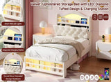 3ft Single Upholstered Velvet Bed Frame, LED Bed Frame with Charging Station & Diamond Tufted N652P399022B