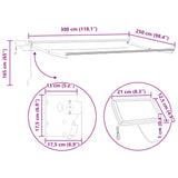 Manual Retractable Awning with LEDs 3 x 2.5 m 3419253