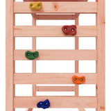 Outdoor Playset Solid Wood Douglas 3156971